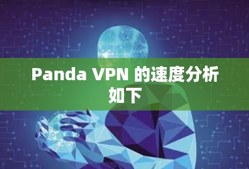 Panda VPN 的速度分析如下