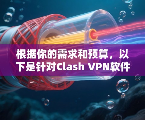 根据你的需求和预算,以下是针对Clash VPN软件的选择建议