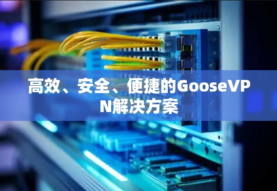 高效、安全、便捷的GooseVPN解决方案