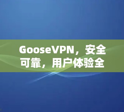 GooseVPN，安全可靠，用户体验全体验