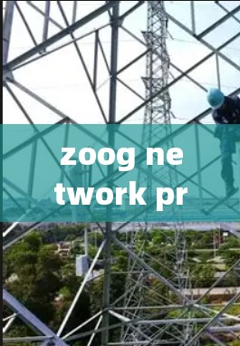 zoog network protection VPN设置解析 zoog network protection VPN设置解析