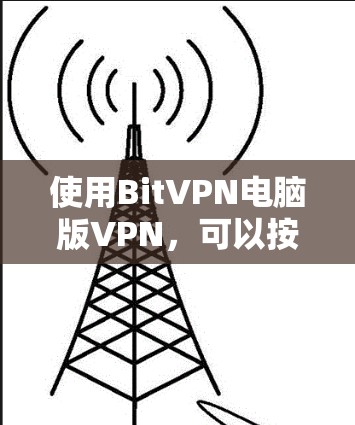 使用BitVPN电脑版VPN，可以按照以下步骤进行