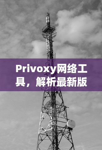 Privoxy网络工具,解析最新版本的功能与性能