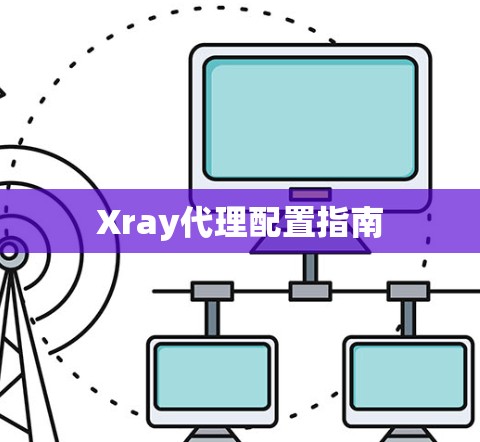 Xray代理配置指南