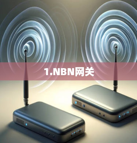 1.NBN网关