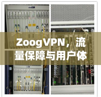 ZoogVPN,流量保障与用户体验的平衡之道