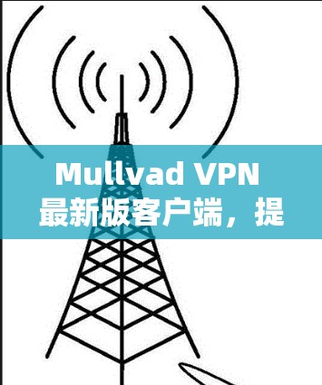 Mullvad VPN 最新版客户端，提升网络体验的高效VPN解决方案