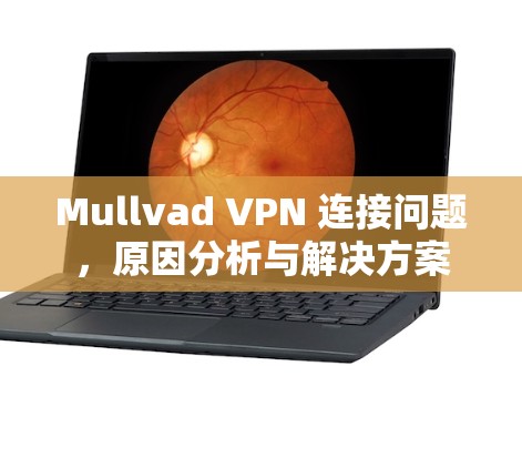 Mullvad VPN 连接问题,原因分析与解决方案 Mullvad VPN 连接问题,原因分析与解决方案