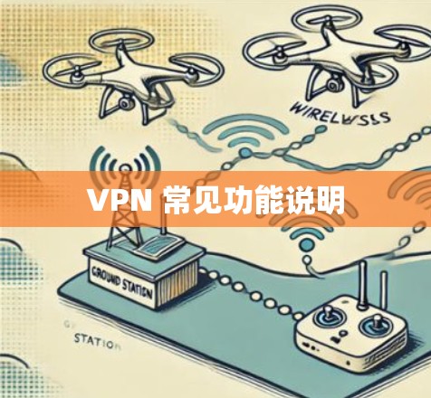 VPN 常见功能说明