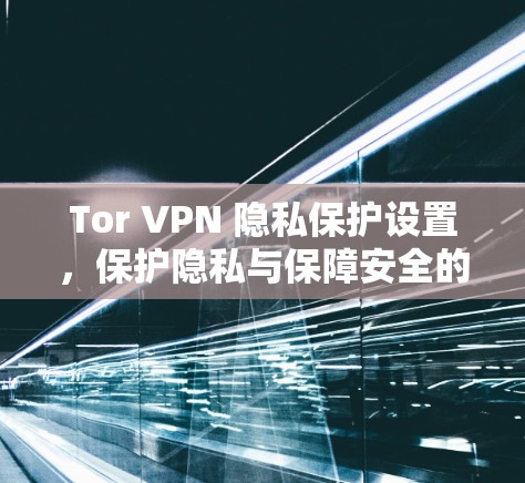 Tor VPN 隐私保护设置，保护隐私与保障安全的平衡之道