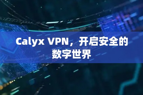 Calyx VPN，开启安全的数字世界
