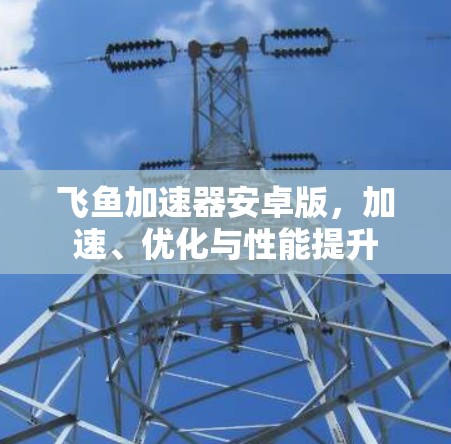 飞鱼加速器安卓版，加速、优化与性能提升
