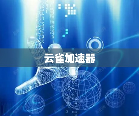 云雀加速器