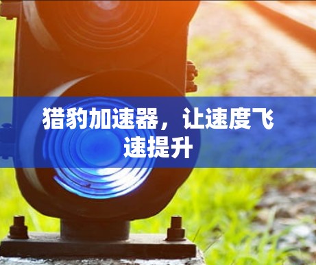 猎豹加速器，让速度飞速提升