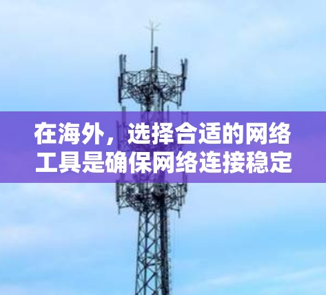 在海外，选择合适的网络工具是确保网络连接稳定和高效的重要步骤。以下是一些推荐的海外网络工具，涵盖访问、视频、文件传输等方面