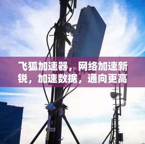 飞狐加速器,网络加速新锐,加速数据,通向更高速度
