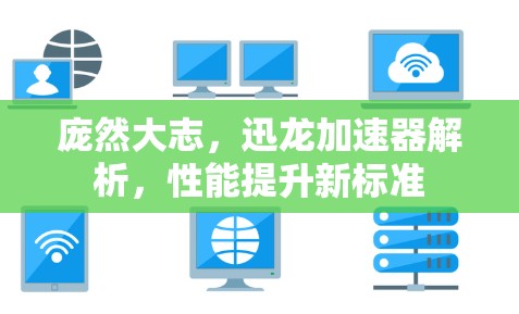 庞然大志，迅龙加速器解析，性能提升新标准