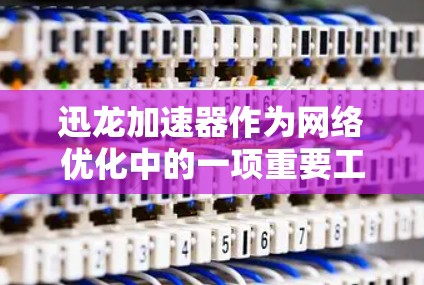 迅龙加速器作为网络优化中的一项重要工具，通过提供多种技术手段提升网络性能。以下是对迅龙加速器网络优化的详细总结和解释