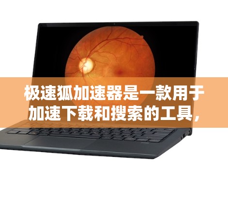 极速狐加速器是一款用于加速下载和搜索的工具,通常适用于Web端或云服务器加速访问的情况。以下是使用极速狐加速器外网连接的几种方法
