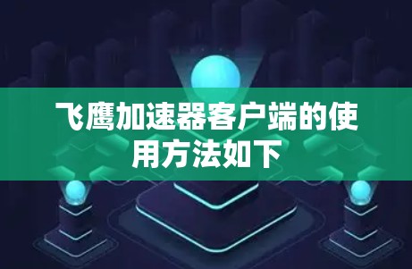 飞鹰加速器客户端的使用方法如下
