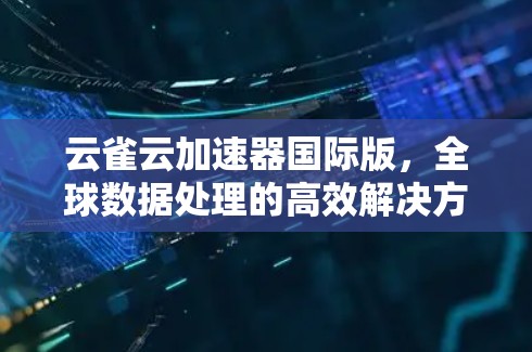 云雀云加速器国际版，全球数据处理的高效解决方案