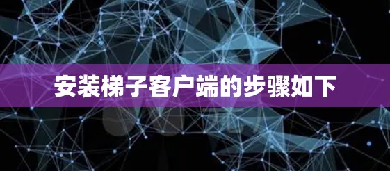 安装梯子客户端的步骤如下
