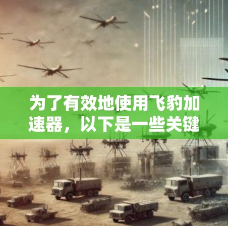 为了有效地使用飞豹加速器，以下是一些关键步骤和信息的总结