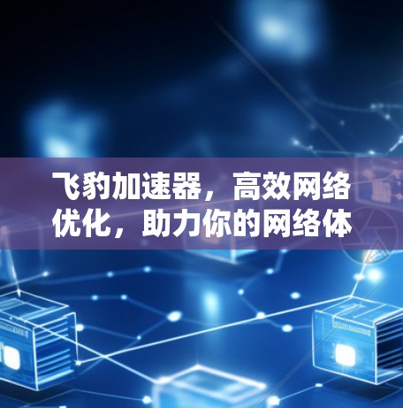 飞豹加速器,高效网络优化,助力你的网络体验