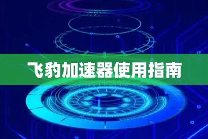 飞豹加速器使用指南