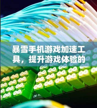 暴雪手机游戏加速工具,提升游戏体验的高效解决方案