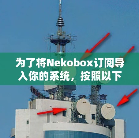 为了将Nekobox订阅导入你的系统,按照以下步骤操作