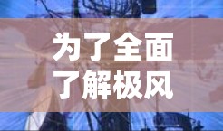 为了全面了解极风加速器的官网信息,可以按照以下步骤进行