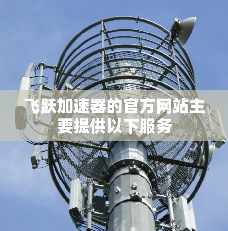 飞跃加速器的官方网站主要提供以下服务