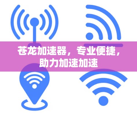 苍龙加速器,专业便捷,助力加速加速