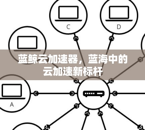 蓝鲸云加速器,蓝海中的云加速新标杆