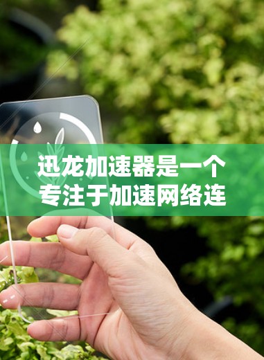 迅龙加速器是一个专注于加速网络连接的工具,旨在提升数据传输速度。以下是对它的详细介绍