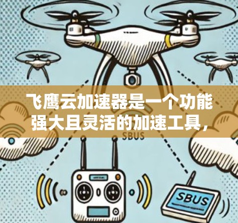 飞鹰云加速器是一个功能强大且灵活的加速工具,适合多种网络加速需求。以下是对该工具的详细总结
