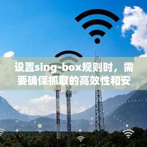 设置sing-box规则时，需要确保抓取的高效性和安全性。以下是详细的步骤说明，帮助您正确设置规则
