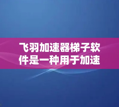 飞羽加速器梯子软件是一种用于加速移动应用的工具,通常用于提升应用的运行速度。以下是针对该软件的逐步指南