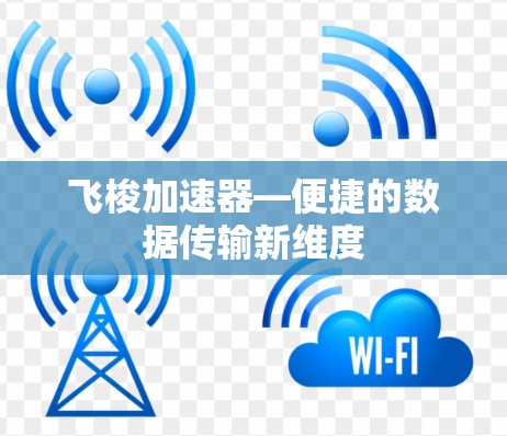 飞梭加速器—便捷的数据传输新维度