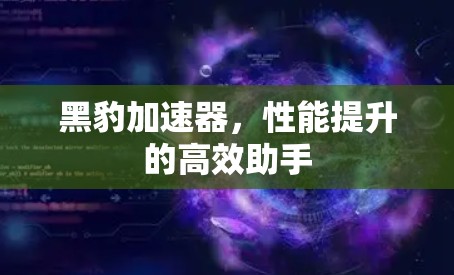 黑豹加速器,性能提升的高效助手