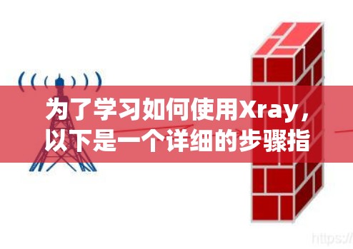 为了学习如何使用Xray,以下是一个详细的步骤指南