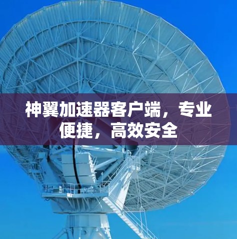 神翼加速器客户端,专业便捷,高效安全