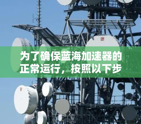 为了确保蓝海加速器的正常运行，按照以下步骤进行检测