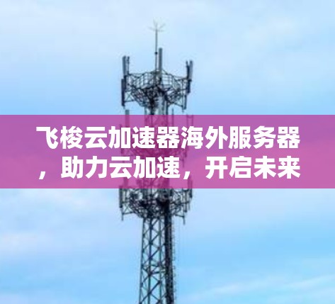 飞梭云加速器海外服务器,助力云加速,开启未来?