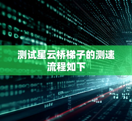 测试星云桥梯子的测速流程如下