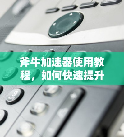 斧牛加速器使用教程,如何快速提升网页速度?