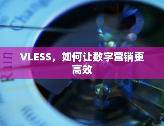 VLESS,如何让数字营销更高效