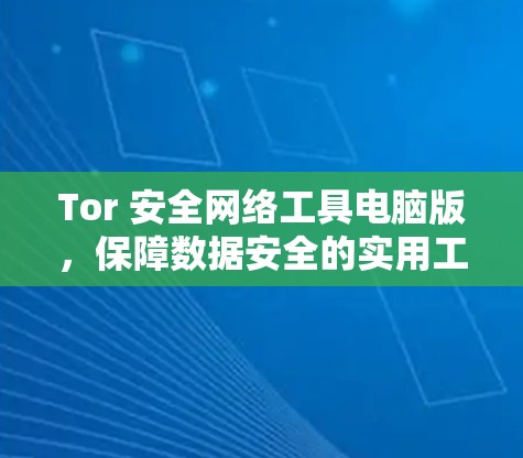 Tor 安全网络工具电脑版,保障数据安全的实用工具