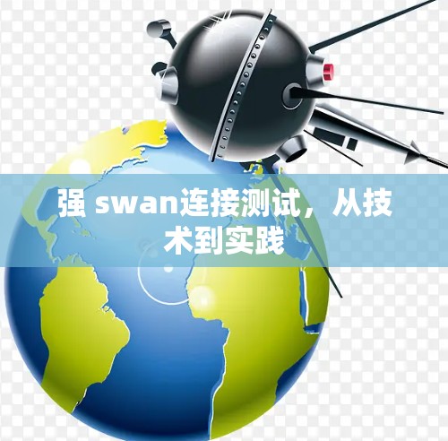 强 swan连接测试,从技术到实践